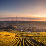Wind turbines near a corn field, producing renewable energy.